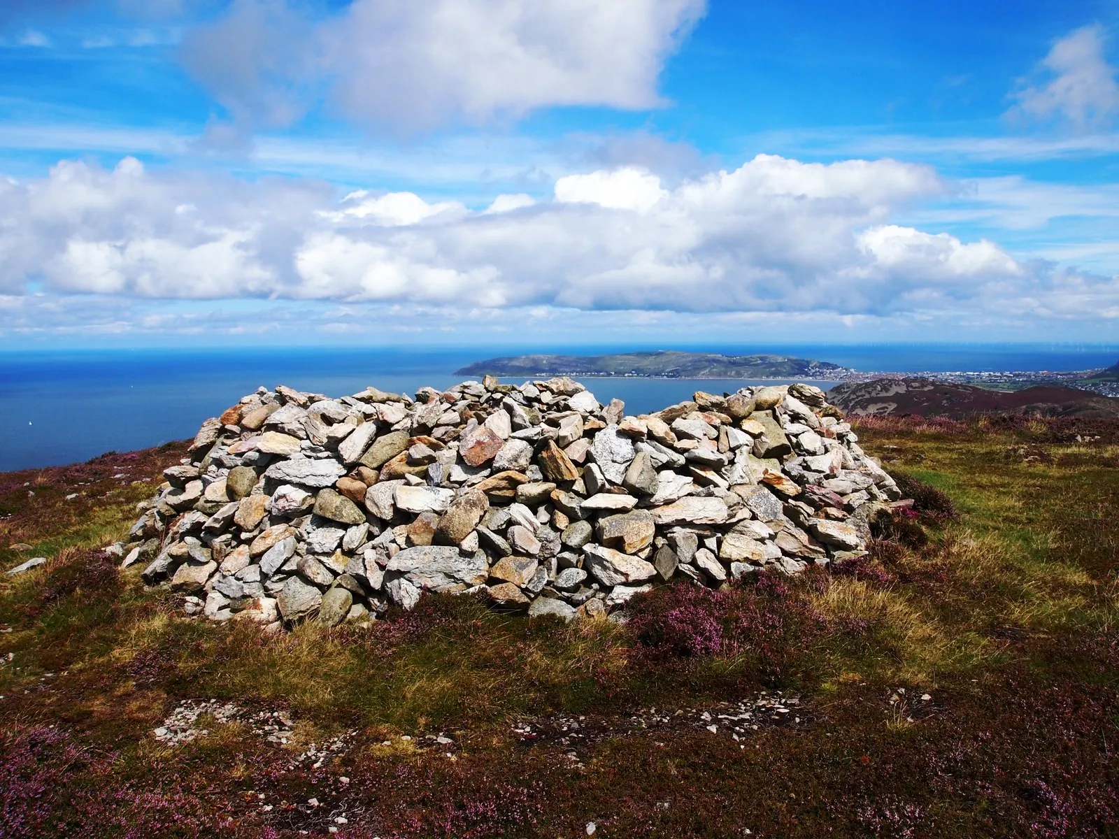 A white stone shelter cairn on the top of Foel Lus, heather in flower and Conwy Bay opening out behind it