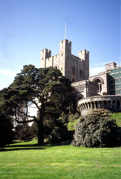 Penrhyn Castle's towers rising above the trees, seen from the grounds walk.