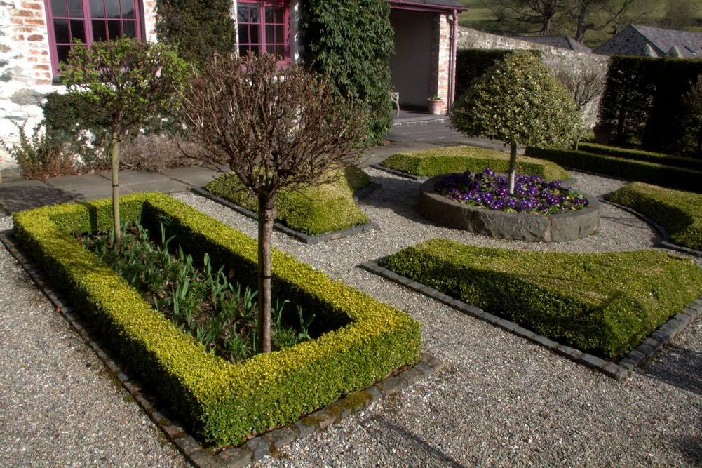 Formal beds and clipped planting inside the walled garden at Plas Cadnant.