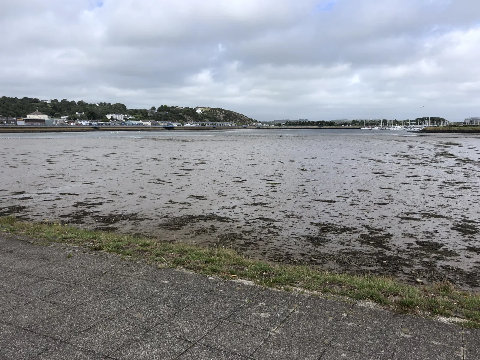 Pwllheli&rsquo;s inner harbour drained to mud at low water, the town along the far bank and the marina masts beyond