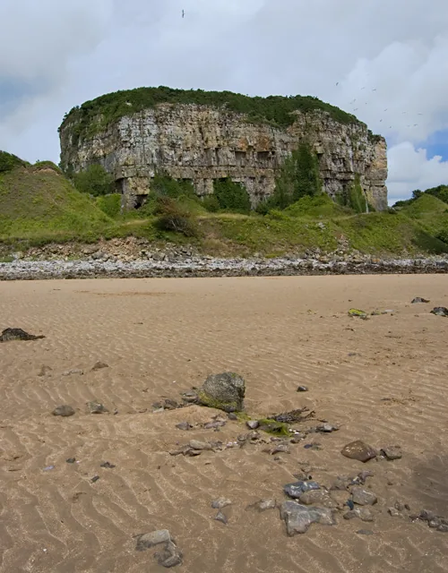 Castell Mawr, a large limestone rock outcrop on the western shore of Red Wharf Bay, topped with vegetation, seen from the sand at low tide.