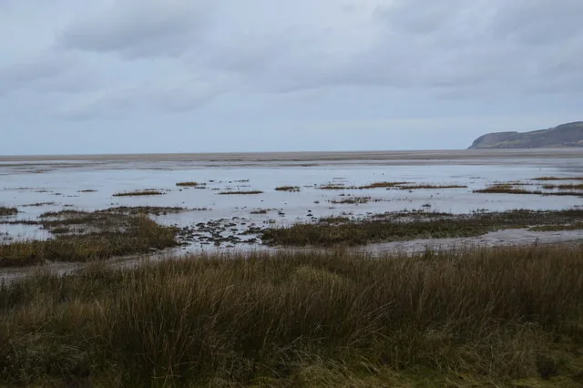 Salt marsh and tidal grass flats at Red Wharf Bay, with the wide tidal channel beyond.