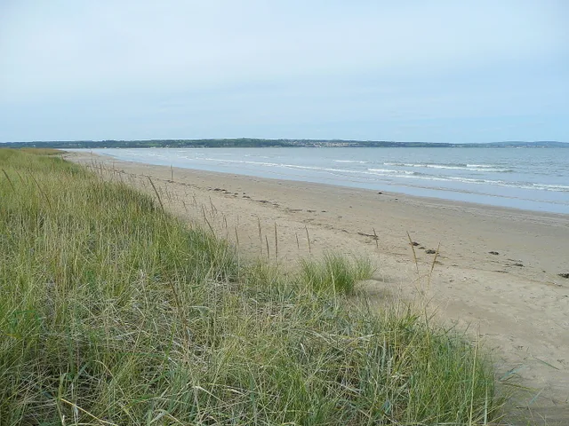 Dune grass in the foreground of a wide, flat sandy beach at Red Wharf Bay, with the sea and a headland in the distance.