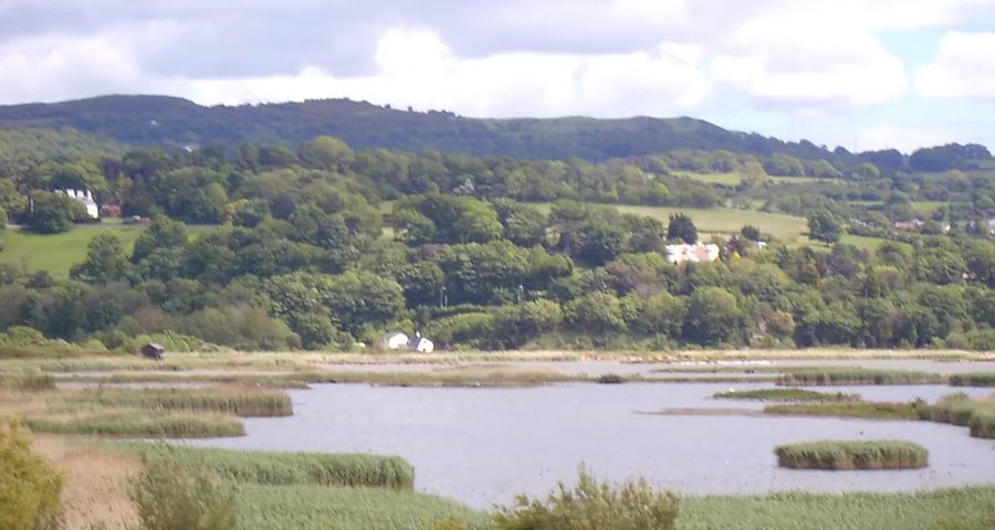 Shallow lagoons and reed islands at RSPB Conwy, with wooded hills rising beyond the far shore.