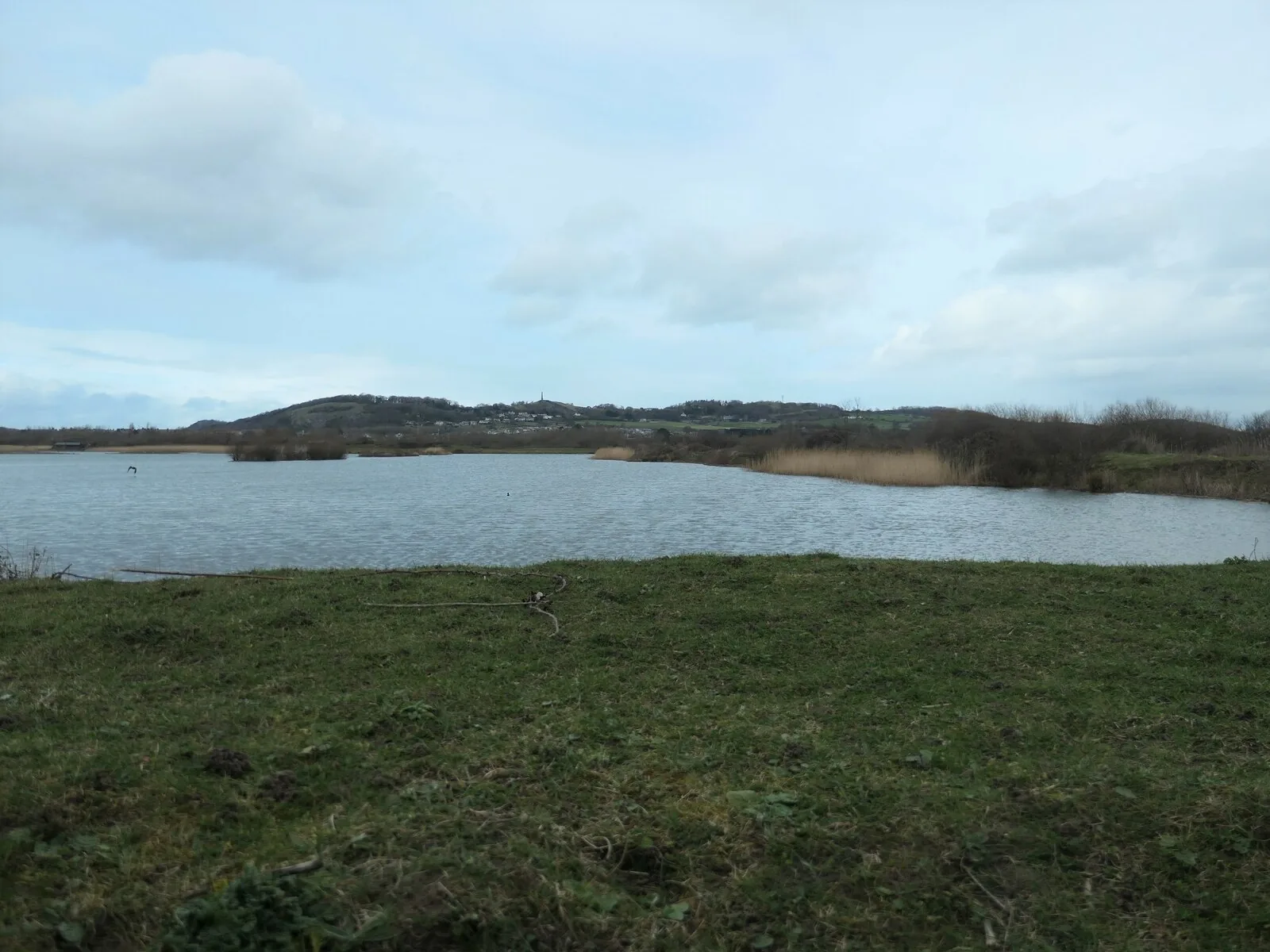 The broad open water of the eastern lagoon at RSPB Conwy on an overcast day, with reedbeds along the far shore and hills beyond.