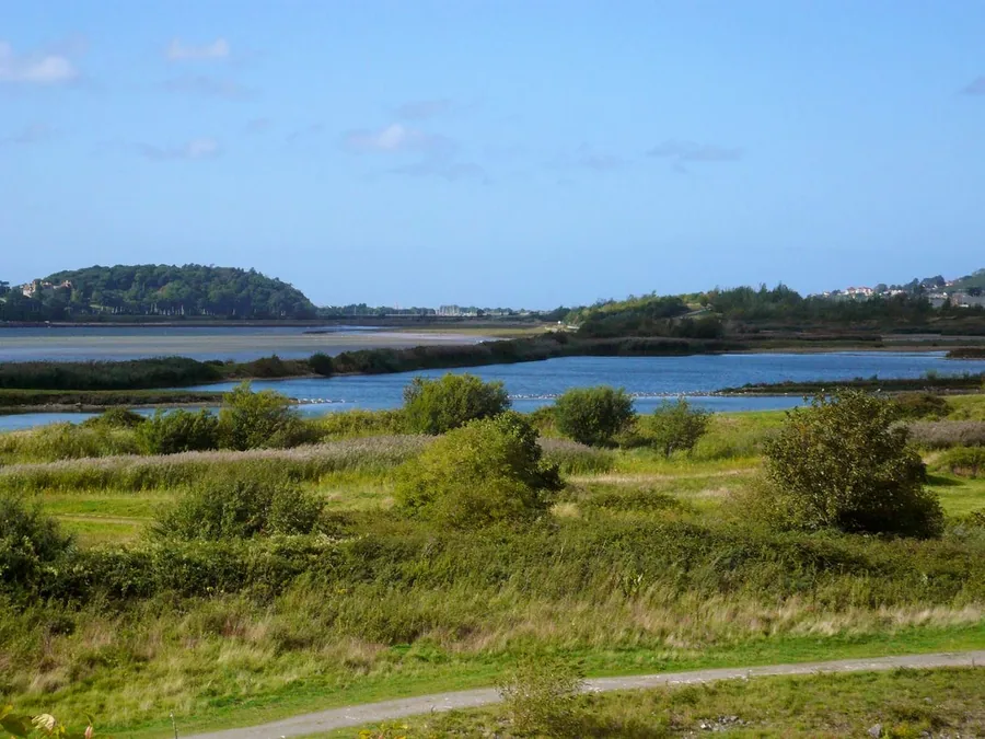 Shallow lagoons and reed islands at RSPB Conwy, with wooded hills rising beyond the far shore.