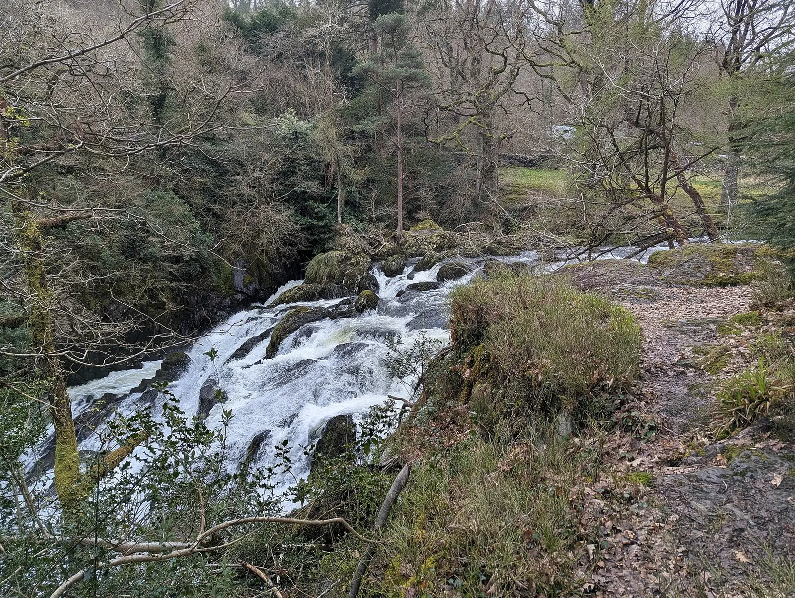 Swallow Falls seen from the north side of the Afon Llugwy, water dropping over dark rock between wooded banks.