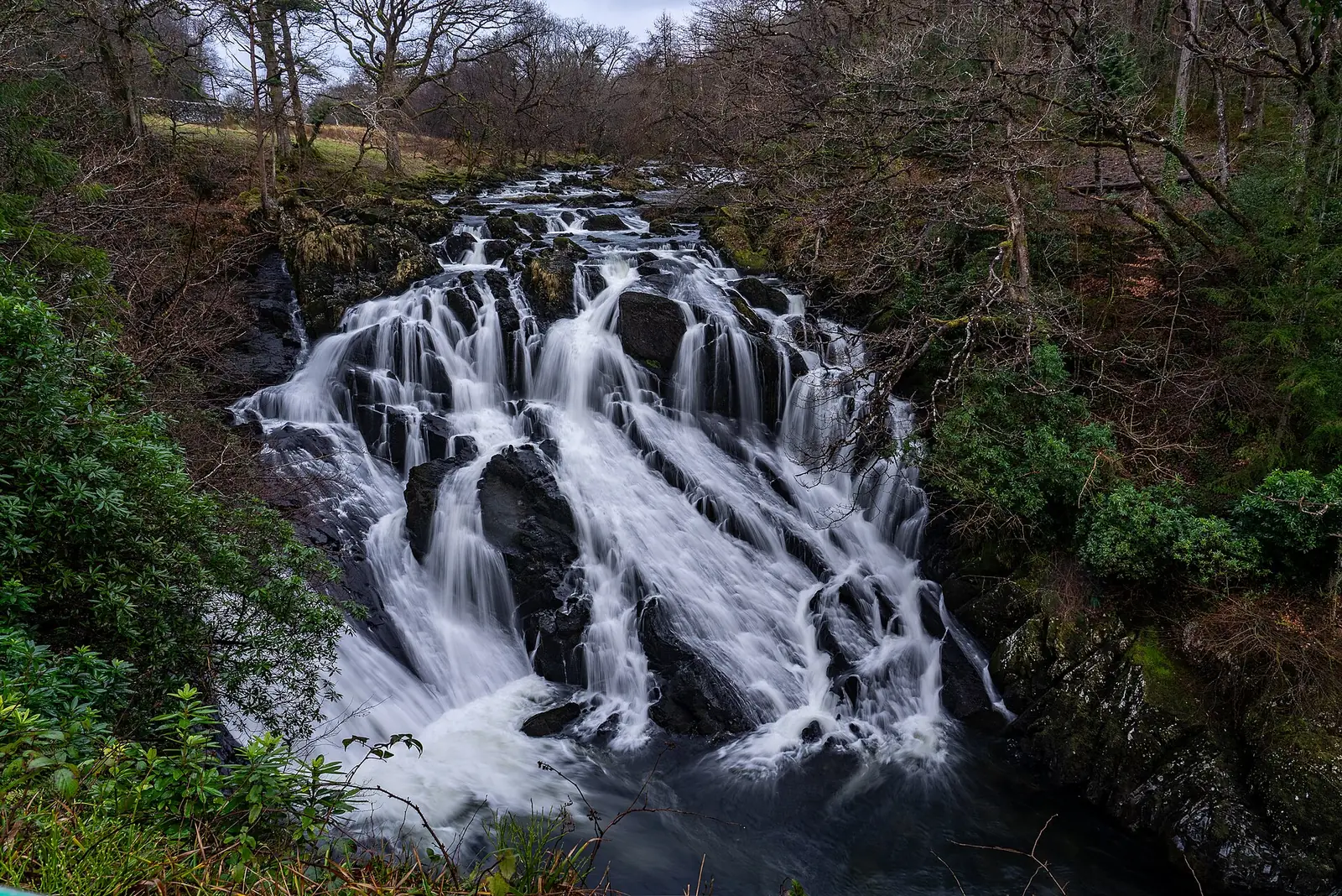 Swallow Falls in winter, muddy floodwater dropping over dark rock between bare trees.