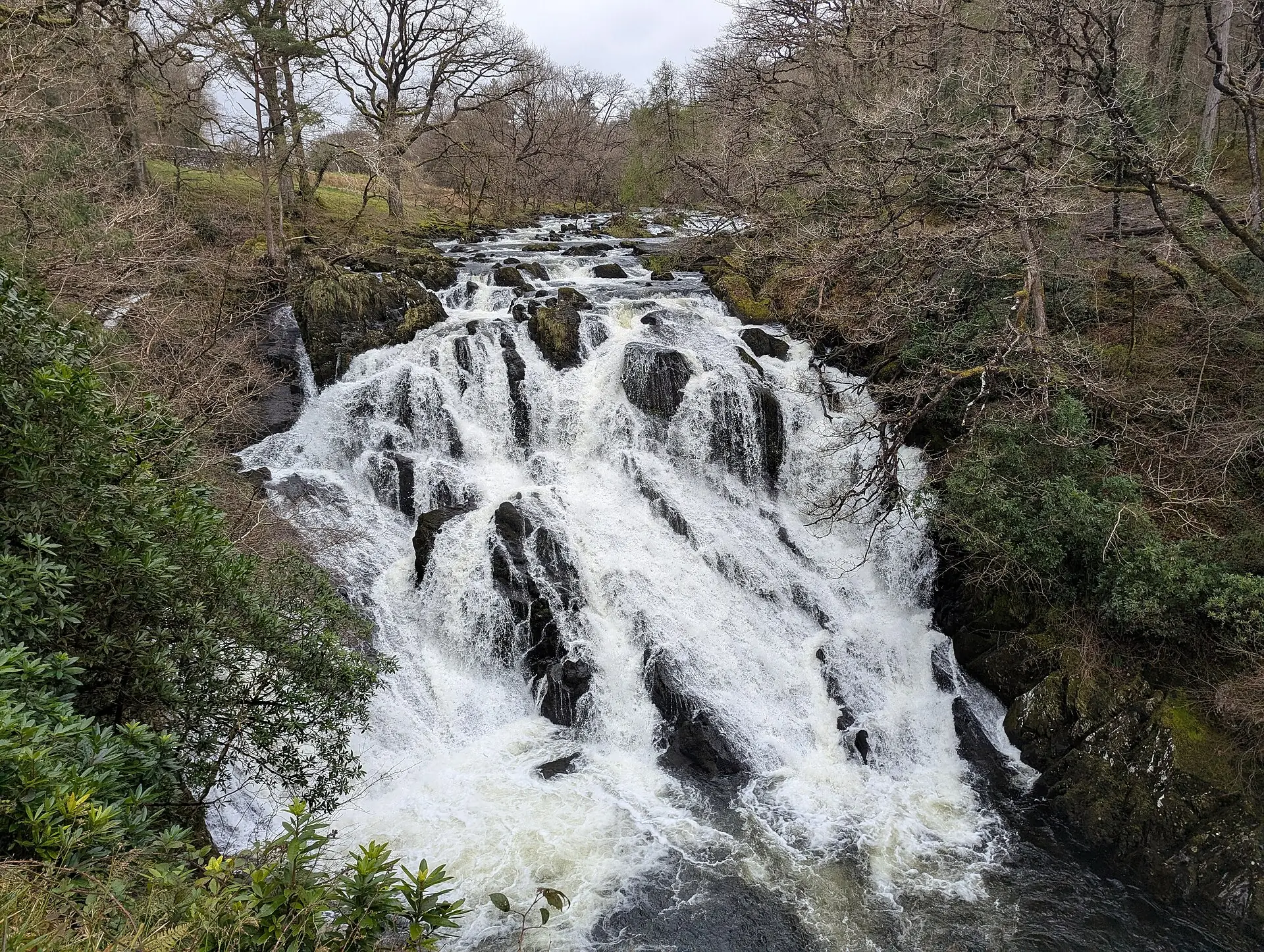 The white water of Swallow Falls tumbling over dark rock through a wooded gorge on the Afon Llugwy near Betws-y-Coed.