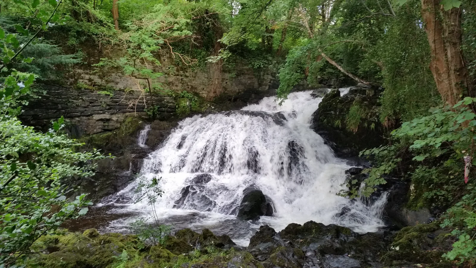 The Fairy Falls at Trefriw, the Afon Crafnant breaking white over a stepped rock ledge between wooded banks