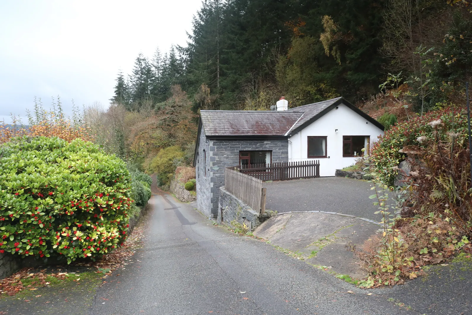 The lane at the top of Jubilee Road, Trefriw, running out of the houses and into conifer plantation