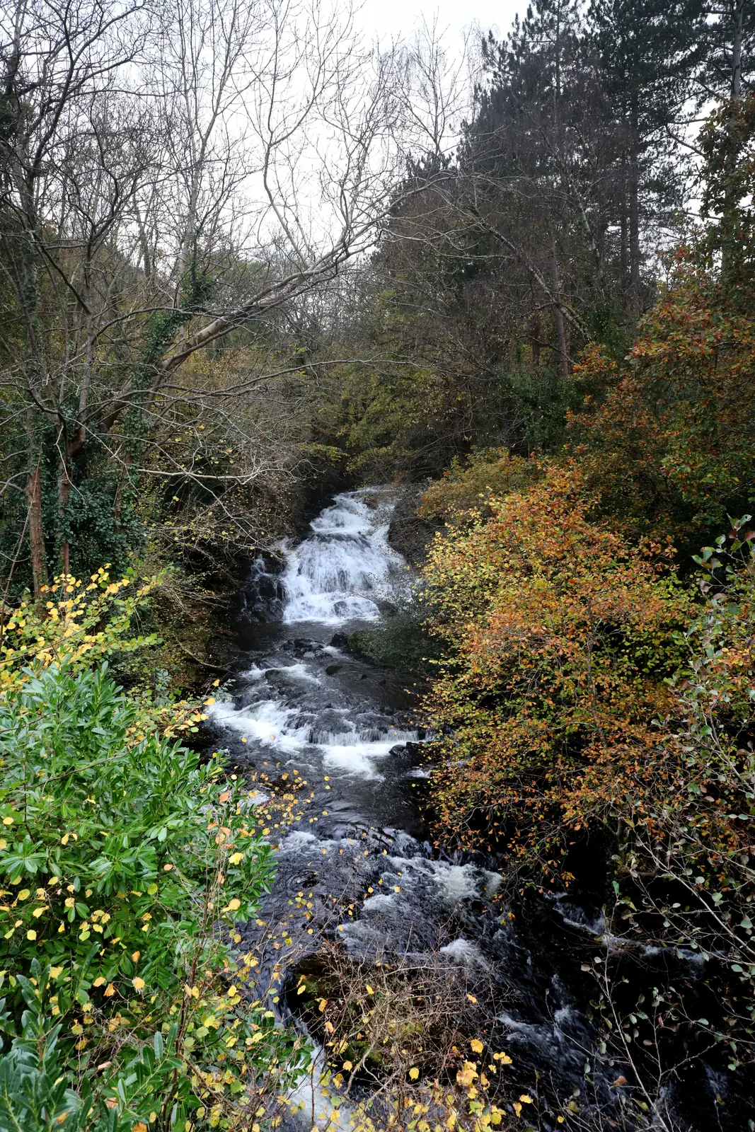 The Afon Crafnant dropping steeply through wooded ground above Trefriw in autumn