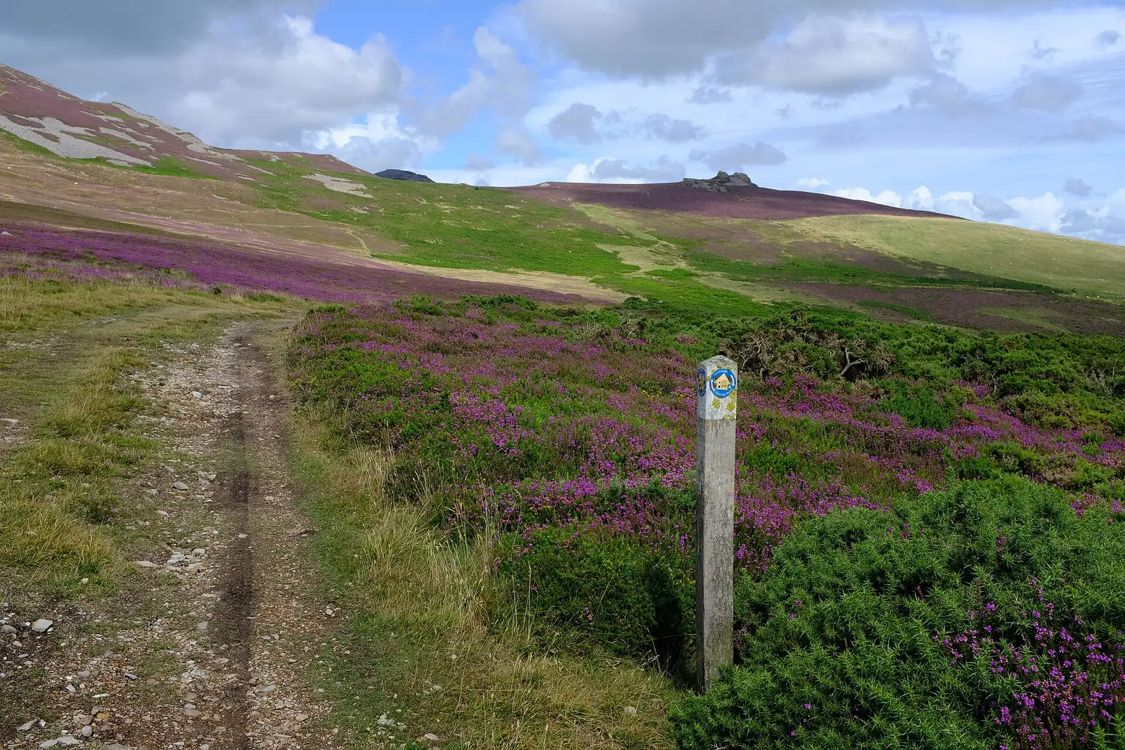 A stony track over heather on the slopes of Garn Ganol, with the tops of Yr Eifl beyond